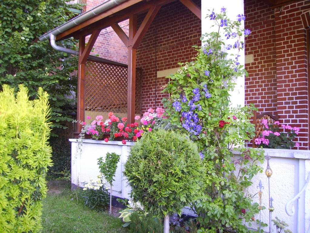 Ferienwohnung Froehlich Bad Suderode Exteriör bild